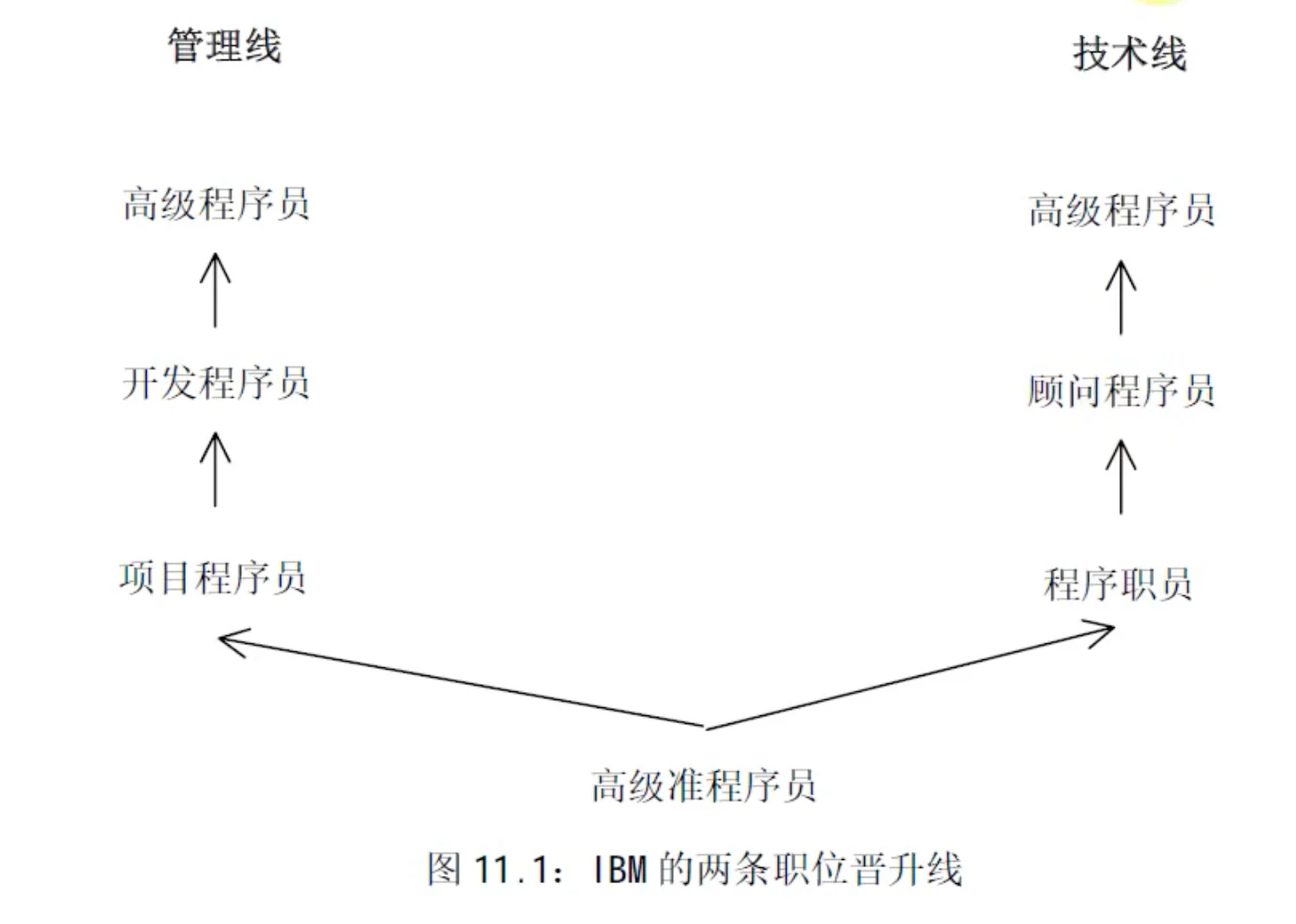 IBM 的管理线与技术线双通道晋升路径